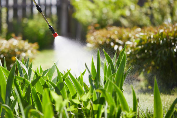24/7 Emergency Fumigation Services experts in Osawatomie, KS
